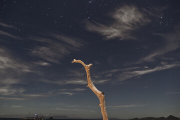 Night Sky with Stars and Dramatic Cloud Formation Over Isolated Dead Tree – Tranquil and Mystical...