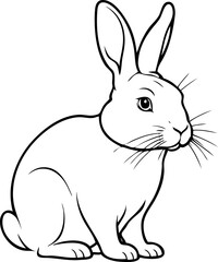 white rabbit . vector illustration. 