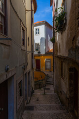 Fototapeta premium A narrow cobblestone street in an old European town leads downhill between colorful buildings, featuring traditional architecture and a glimpse of a blue sky.
