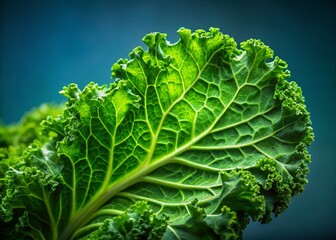 Fresh Green Kale Leaves - Healthy Vegetable Portrait