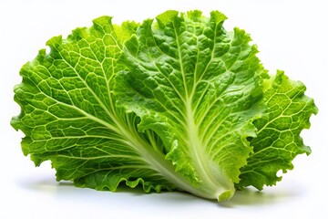 Fresh Green Lettuce Leaf Isolated on White Background - High-Resolution Stock Photo