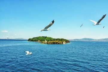 island in the Bosphorus Strait and seagulls in the sky sunny day