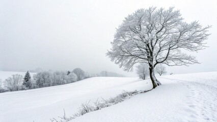 snow covered trees