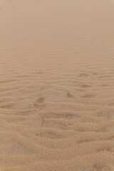 A close-up shot of rippled sand with subtle footprints, showcasing the texture and natural patterns of a sandy surface.