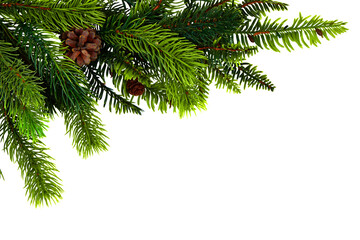 Green pine branches with brown pinecones isolated on a transparent background. A festive and...