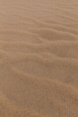 A close-up shot of rippled sand with subtle footprints, showcasing the texture and natural patterns of a sandy surface.