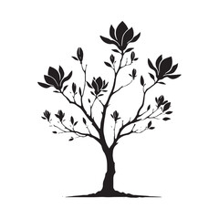 Obraz premium Stylish Magnolia Tree silhouette for artistic and modern visuals - Magnolia tree silhouette - Magnolia tree vector - Magnolia tree illustration - Magnolia silhouette - Magnolia vector 