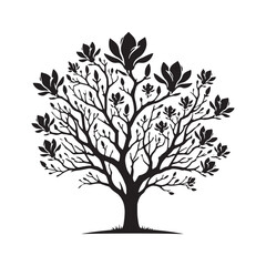 Obraz premium Magnolia Tree silhouette for minimalist and elegant compositions - Magnolia tree silhouette - Magnolia tree vector - Magnolia tree illustration - Magnolia silhouette - Magnolia vector 