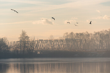 Goczałkowice Zdrój, poranek we mgle.  © Elżbieta Kaps