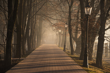 Park w Goczałkowice zdrój we mgle. © Elżbieta Kaps