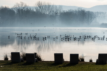 Goczałkowice Zdrój, poranek we mgle.  © Elżbieta Kaps