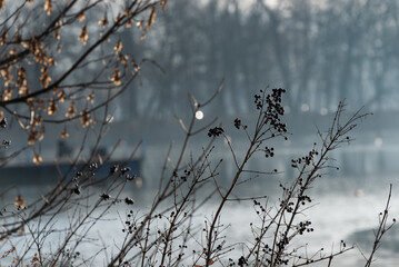 Krajobraz nad wodą, Goczałkowice zdrój, mglisty poranek. 