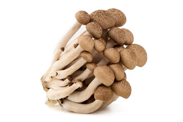 Fresh Brown Beech Mushrooms, Isolated on White Background. © GSDesign
