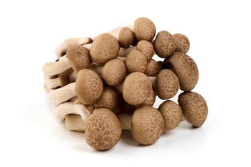Fresh Brown Beech Mushrooms, Isolated on White Background.