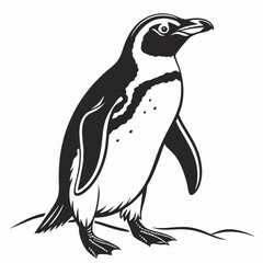 Naklejka premium penguin vector silhouette black design white background