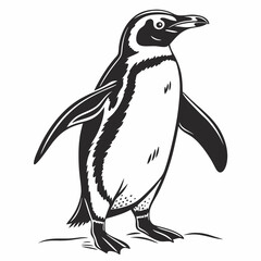 penguin vector silhouette black design white background