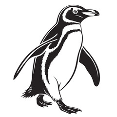 penguin vector silhouette black design white background
