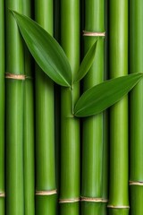 Fototapeta premium Zen Botanical Display Vertical Bamboo Stalks for Eco-Friendly Design Natural Aesthetic for Sustainable Interiors and Green Architecture Inspiration