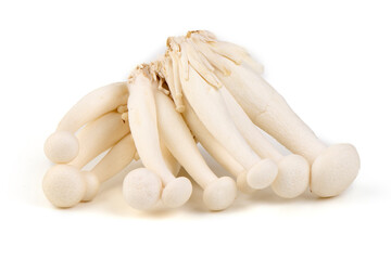 White Beech Mushrooms, Isolated on White Background.