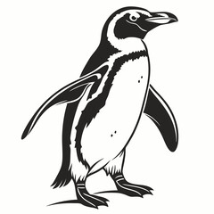 Fototapeta premium penguin vector silhouette black design white background