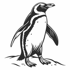 penguin vector silhouette black design white background