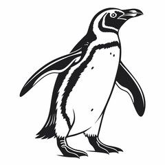 Naklejka premium penguin vector silhouette black design white background