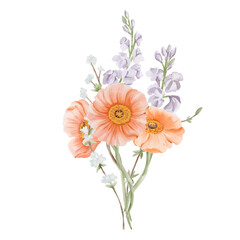 Bouquet of Iceland Poppy Flowers with Freesia and Snow Willow Branches. Watercolor hand drawn floral illustration isolated on a white background. Botanical art for cards, posters, invitations