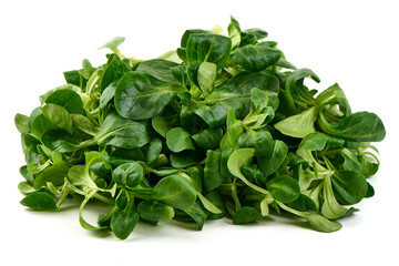 Lambs lettuce, corn salad, isolated on white background.