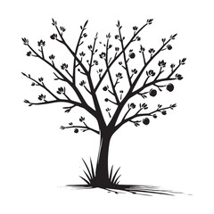 Peach Tree silhouette with a refined and iconic form - Peach tree silhouette - Peach tree vector - Peach tree illustration - Peach silhouette - Peach vector
