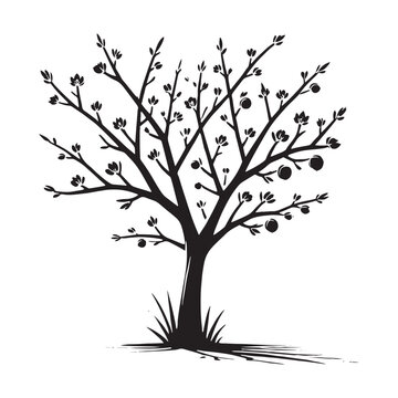 recommend clip art: Peach Tree silhouette with a refined and iconic form - Peach tree silhouette - Peach tree vector - Peach tree illustration - Peach silhouette - Peach vector
                    