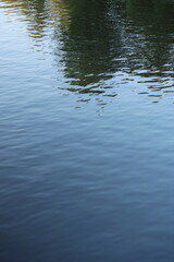 reflection in water, river or lake is blue with reflection of the trees. beautiful in nature. background for screensaver, a place for text