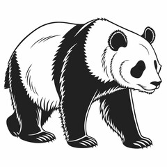 Panda vector silhouette black design white background
