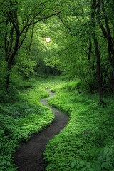 Fototapeta premium A serene path winding through a lush, green forest at sunset.