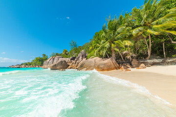 Granite boulders and palm trees in a tropical beach
