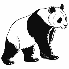 Panda vector silhouette black design white background