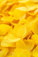 Obraz premium A close-up of soft yellow petals layered together showcases the intricate beauty of nature's designs.