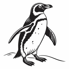 Naklejka premium penguin vector silhouette black design white background