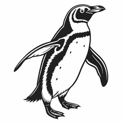 penguin vector silhouette black design white background