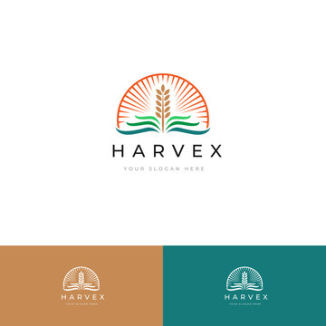 Modern and Refined Paddy Rice Logo Design for Business Identity | Fully Editable