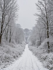 Obraz premium A Cold Weather in the French Countryside