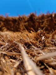hay bale in the field