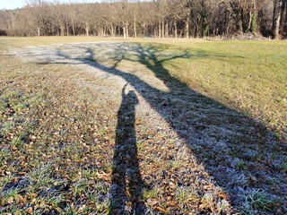 Frosty Morning Field with Long Shadows from a Tree and a Person