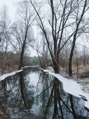 river in the forest with snow