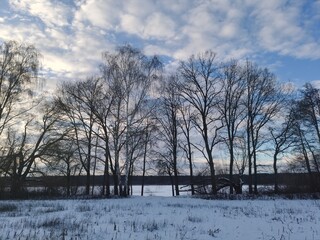 winter landscape with trees and snow, frozen lake in the background