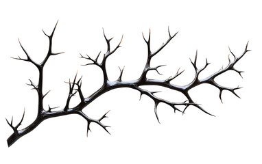 Fototapeta premium PNG Branch branch design illustration.