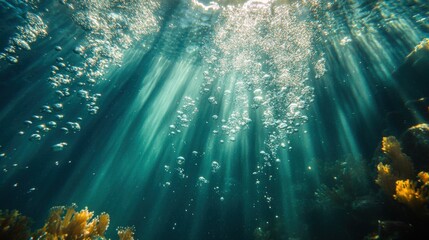 Obraz premium Underwater bubbles and coral reef ocean depths nature photography serene environment below surface
