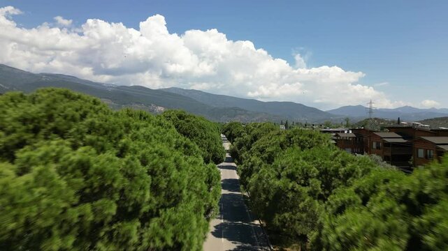 Aerial view of a tree-lined road in Edremit, Turkey, with mountains and houses under a blue sky, oe01
