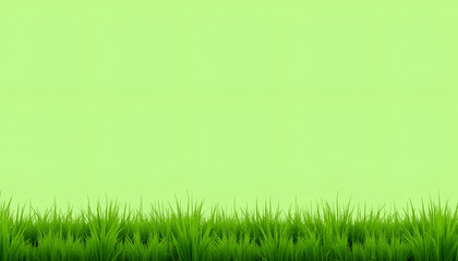 Lush green grass with a bright background for creative designs and copy space