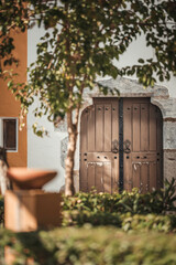 Old door house in the nature