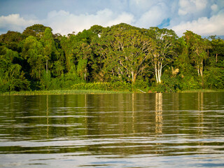 Amazon river landscape with rainforest.